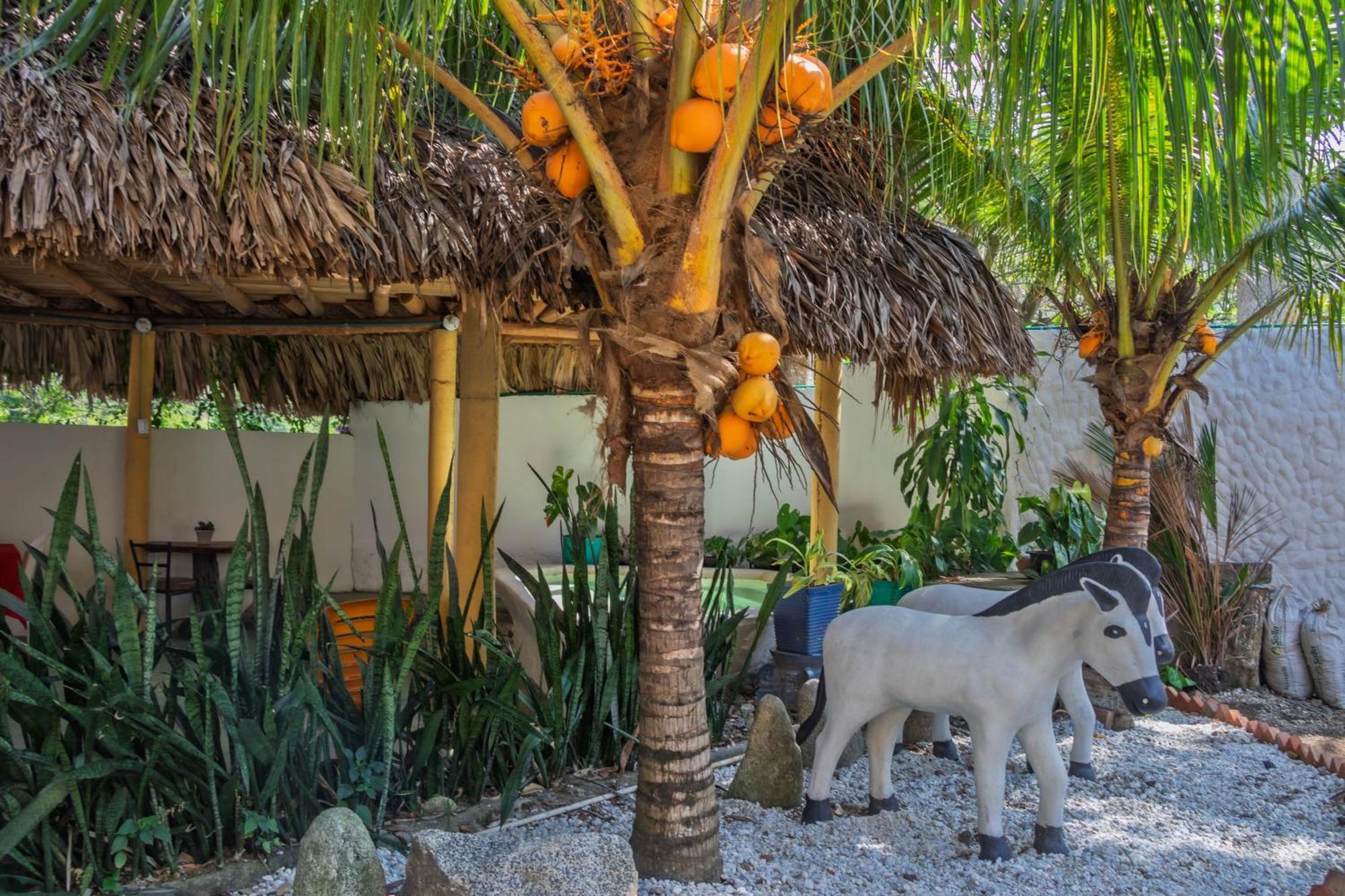 Hotel Manakin Tayrona El Zaino Exterior photo